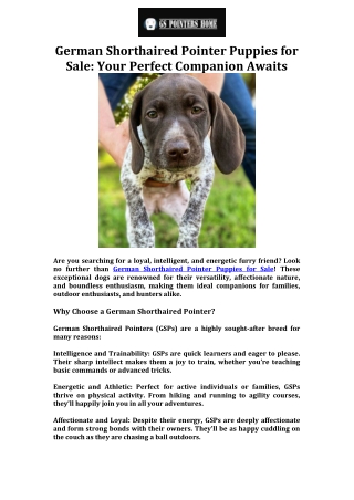 German Shorthaired Pointer Puppies for Sale Your Perfect Companion Awaits