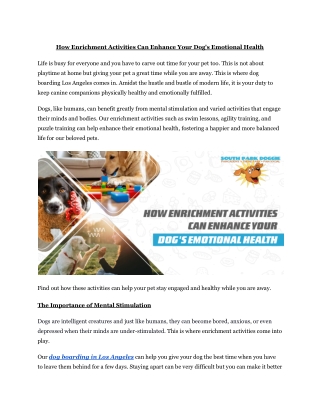 How Enrichment Activities Can Enhance Your Dog's Emotional Health