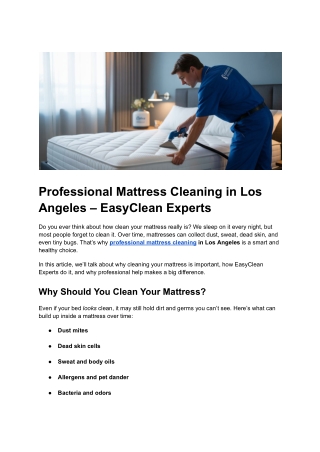 Post 19 - Professional Mattress Cleaning in Los Angeles – EasyClean Experts