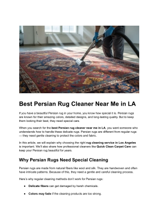 Post 20 - Best Persian Rug Cleaner Near Me in LA