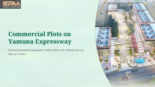Commercial plots on yamuna expressway