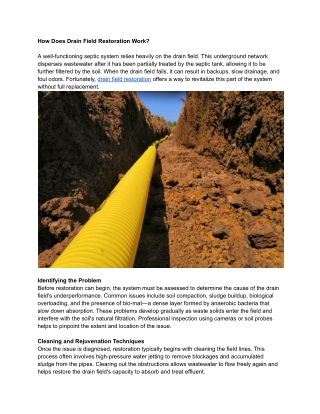 How Does Drain Field Restoration Work