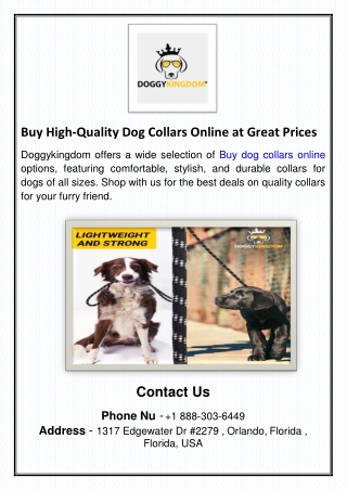 Buy High-Quality Dog Collars Online at Great Prices