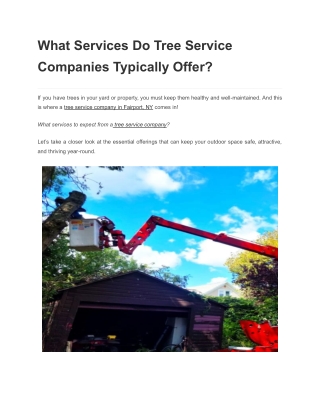 What Services Do Tree Service Companies Typically Offer