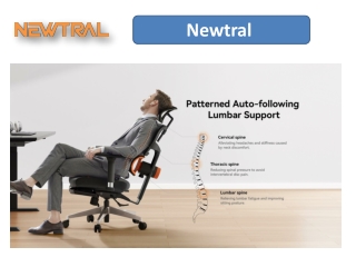The Ultimate Ergonomic Office Chair for Support and Comfort