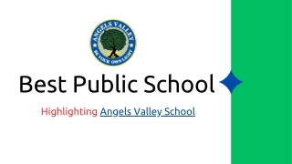 Angels Valley School- Best Public School