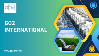 Choosing the Right Chlorine Dioxide Supplier for Your Business Needs