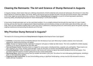 Stump Removal in Augusta, GA