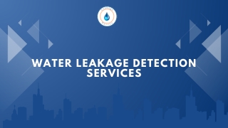 Water leakage detection services