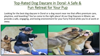 Top-Rated Dog Daycare in Doral: A Safe & Fun Retreat for Your Pup