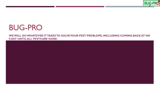 Top Pest Control Company in Nigeria for Safe and Effective Pest Management