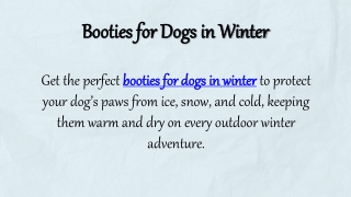 Booties for Dogs in Winter