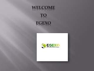 Egyptian Loofah Wholesale | EGEXO