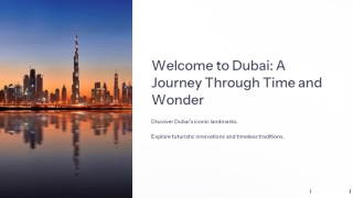 Discover Innovation at the Museum of the Future