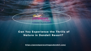 Experience the Thrills of Nature in Dandeli Resort