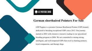 German Shorthaired Pointers For Sale offers high-quality, well-bred GSP puppies