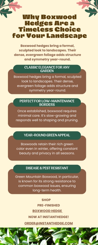 Boxwood Hedges: Sculpted Elegance All Year Round