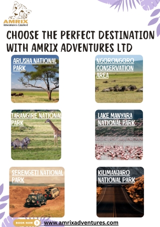 choose the perfect destination with amrix adventures Ltd