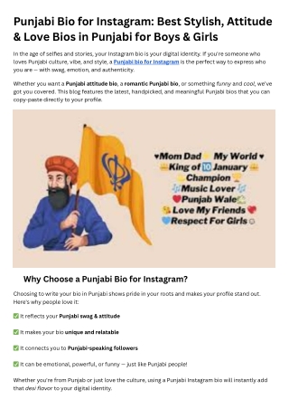 Punjabi Bio for Instagram
