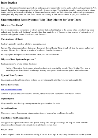 Understanding Root Systems: Why They Matter for Your Trees