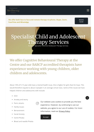 Cognitive Behavioral Therapist London