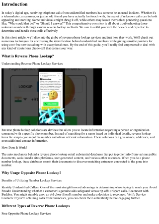 Troubleshooting Unidentified Numbers: A Comprehensive Reverse Lookup Guide