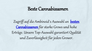 Beste Cannabissamen