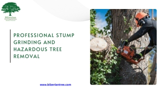 Stump Grinder Tree Service