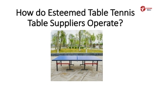 How do Esteemed Table Tennis Table Suppliers Operate