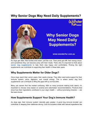Why Senior Dogs May Need Daily Supplements