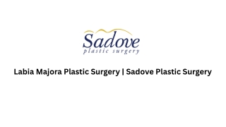 Labia Majora Plastic Surgery at Sadove Plastic Surgery
