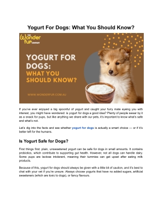 Yogurt For Dogs What You Should Know