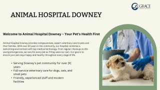 Welcome to Animal Hospital Downey – Your Pet’s Health First