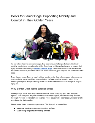 Boots for Senior Dogs_ Supporting Mobility and Comfort in Their Golden Years