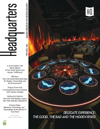 HQ 119 The Delegate Experience The Good, the Bad, and the Hidden Risks