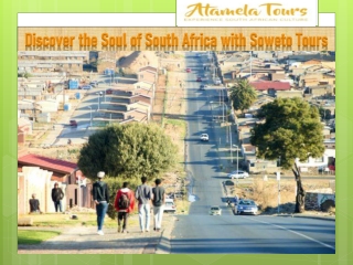 Discover the Soul of South Africa with Soweto Tours