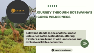 Journey Through Botswana’s Iconic Wilderness
