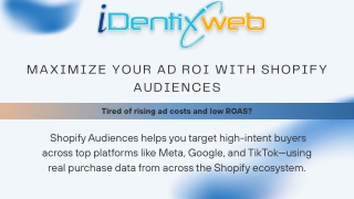 Maximize Your Shopify Ad Performance with Shopify Audiences