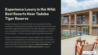 experience-Luxury-in-the-Wild-Best-Resorts-Near-Tadoba-Tiger-Reserve