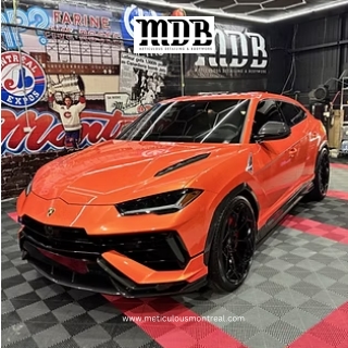 meticulous pdf orange car