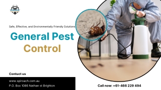 Comprehensive General Pest Control Services by Spiroach Pest Control