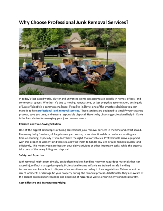 Why Choose Professional Junk Removal Services