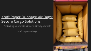 Kraft Paper Dunnage Air Bags