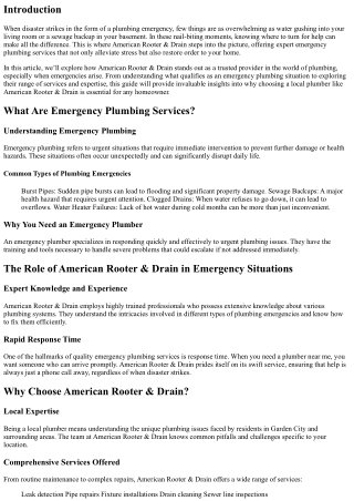 Emergency Plumbing Services: How American Rooter & Drain Saves the Day!