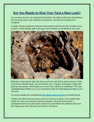 Are You Ready to Give Your Yard a New Look?