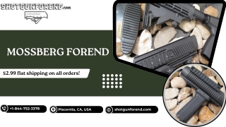 Mossberg Forend