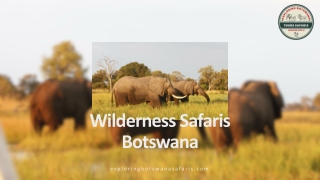 Wilderness Safaris Botswana