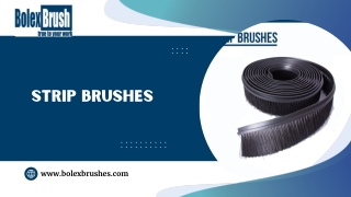 Strip Brushes