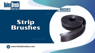 Strip Brushes