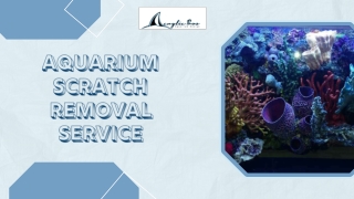 Professional Aquarium Scratch Removal Service – Restore Crystal-Clear Clarity